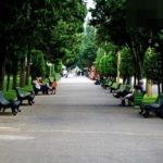 ქვემო სილეზიის დელეგაცია აჭარაში