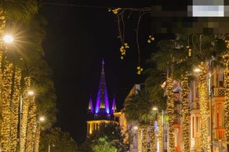 ბათუმის ქუჩა ღამით, განათებული ხეები და შენობები