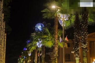 ბათუმის ქუჩები განათებული ღამით პეპელა ბათუმში — სათამაშოები, მისამართი, ფასები | შენი ბათუმი