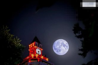 რიფლეი ბათუმში — ტანსაცმელი, მისამართი, ფასები | შენი ბათუმი
