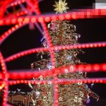 ნოვა ბათუმში — სამშენებლო, მისამართი, ფასები | შენი ბათუმი