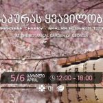 საკურას ყვავილობის დრო ბათუმში 6 მაისის პარკი — Batumi Boulevard Japanesse Garden | შენი ბათუმი | შენი ბათუმი