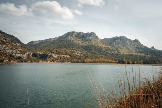 რუსეთის მოქალაქეების კომპანია გონიოში 4000 კვ.მეტრზე ვილებს აშენებს