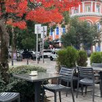 ორიენტალი ლიტერატურული ბათუმში — კაფე, მისამართი, ფასები | შენი ბათუმი