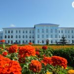 რუსუდანი მონტანია ბათუმში — ბარი, მისამართი, ფასები | შენი ბათუმი