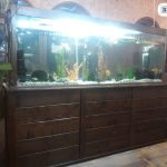 Cristal Beauty Center New Forms ბათუმში — სალონი, მისამართი, ფასები | შენი ბათუმი