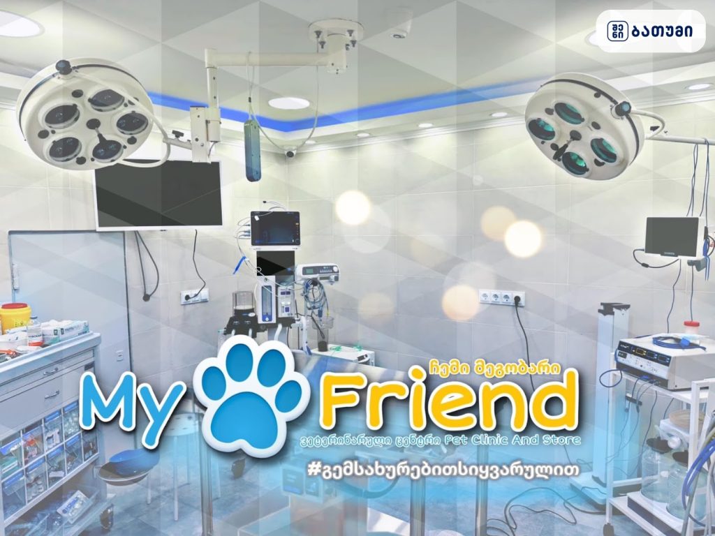 My Friend Pet Clinic And Store — ვეტკლინიკა ბათუმში
