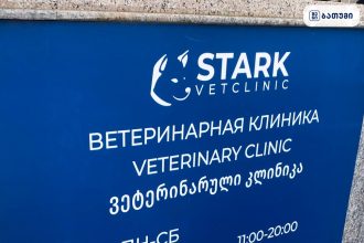 STARK vetclinic Grooming STARK vetclinic & Grooming ბათუმში — ვეტკლინიკა, მისამართი, ფასები | შენი ბათუმი