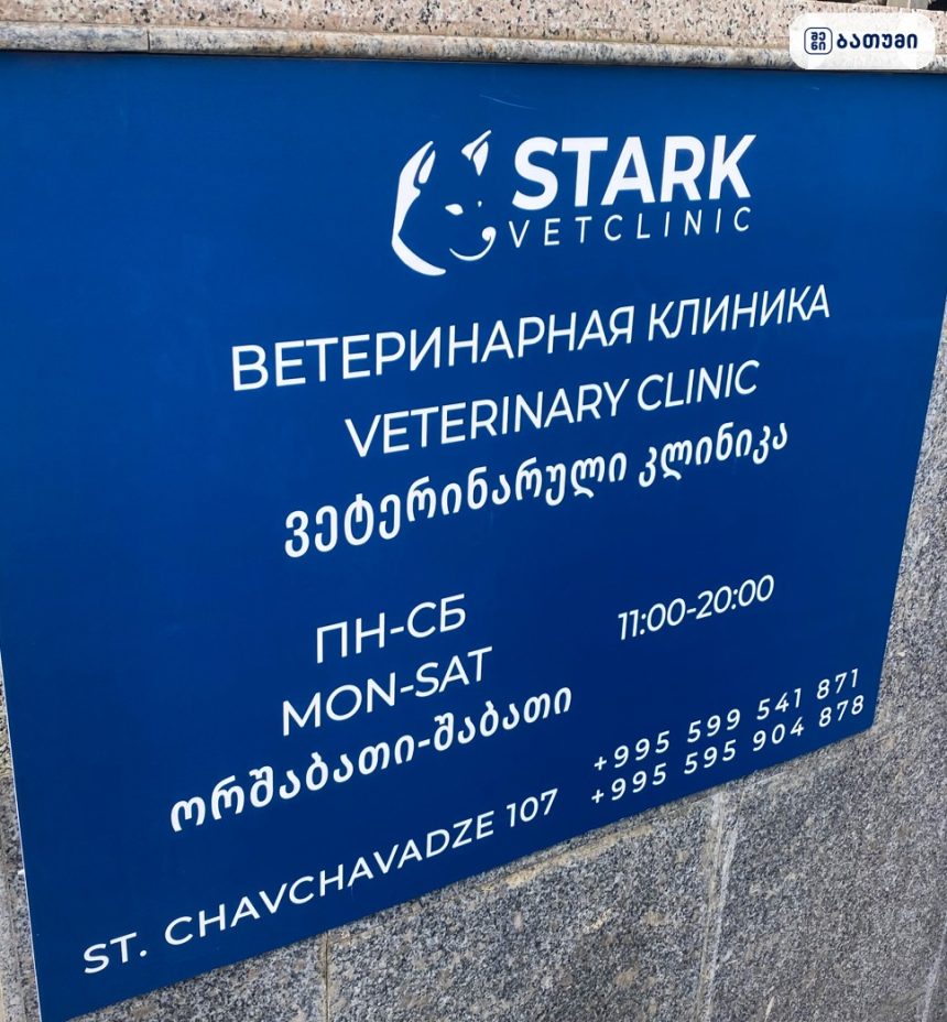 STARK vetclinic Grooming STARK vetclinic & Grooming ბათუმში — ვეტკლინიკა, მისამართი, ფასები | შენი ბათუმი