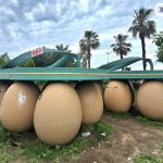 Flip-flops on eggs Metro Georgia ბათუმში — ბენზინგასამართი სადგური, მისამართი, ფასები | შენი ბათუმი