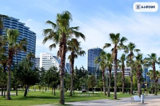 Lech and Maria Kaczynski Park Lech and Maria Kaczynski Park ბათუმში — ღირსშესანიშნაობა, მისამართი, ფასები | შენი ბათუმი