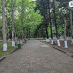Youth Park Aquapark Anaklia ბათუმში — გასართობი ობიექტი, მისამართი, ფასები | შენი ბათუმი