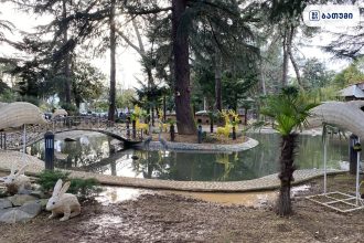 Bird Zoo Bird Zoo ბათუმში — ღირსშესანიშნაობა, მისამართი, ფასები | შენი ბათუმი