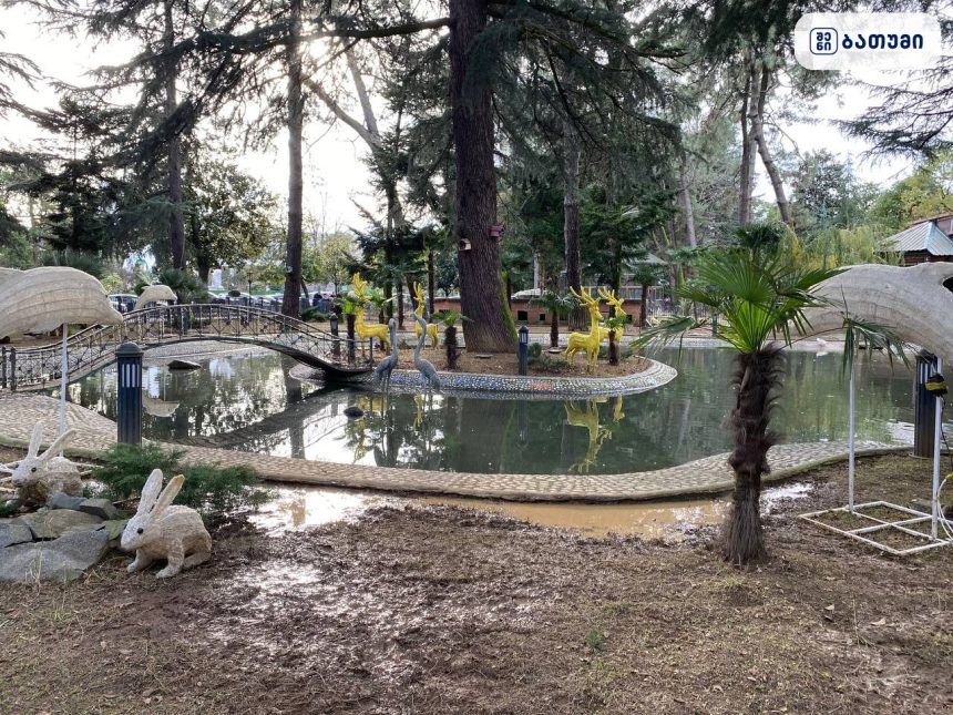 Bird Zoo Bird Zoo ბათუმში — ღირსშესანიშნაობა, მისამართი, ფასები | შენი ბათუმი