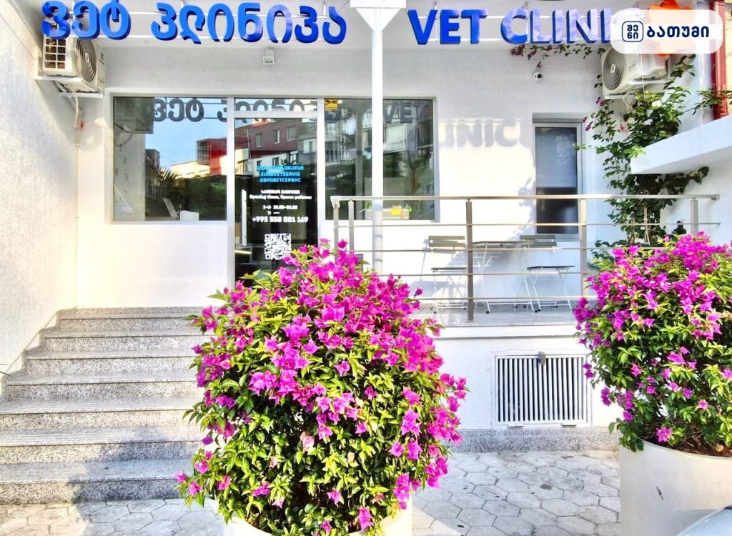 Eurovetservis — ვეტკლინიკა ბათუმში