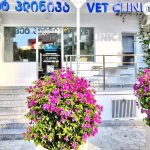 Eurovetservis ლაიმ-ი ბათუმში — სალონი, მისამართი, ფასები | შენი ბათუმი