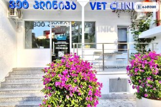 Eurovetservis Eurovetservis ბათუმში — ვეტკლინიკა, მისამართი, ფასები | შენი ბათუმი