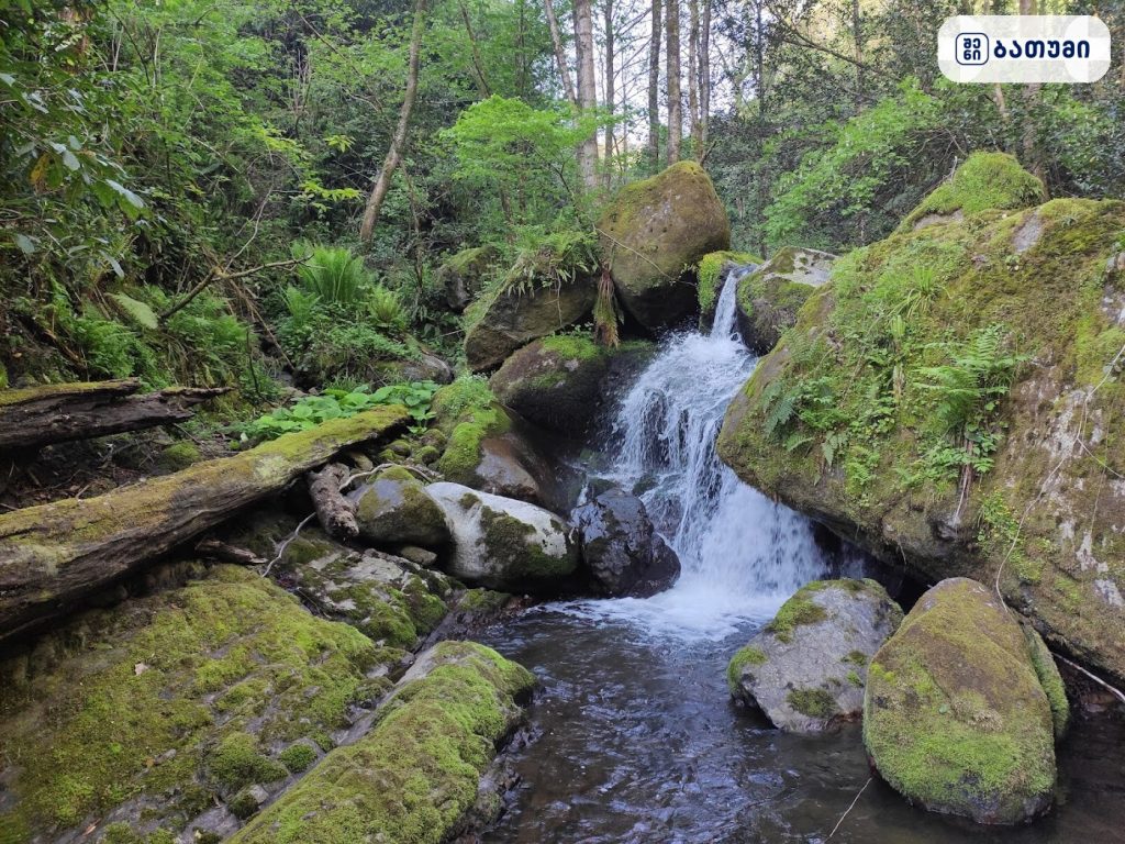 National Park Batumi ბათუმში — ღირსშესანიშნაობა, მისამართი, ფასები