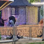 Bambi ChaCha Crawl Batumi ბათუმში — ღირსშესანიშნაობა, მისამართი, ფასები | შენი ბათუმი