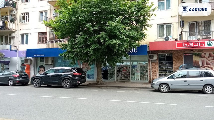 ბათუმის ქუჩის ხედვა ზოო სიᲗი ბათუმში — შინაური ცხოველები, მისამართი, ფასები | შენი ბათუმი
