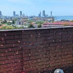 Guest House Sunrise Wyndham Grand Batumi Gonio. Riviera ბათუმში — სასტუმრო, მისამართი, ფასები | შენი ბათუმი