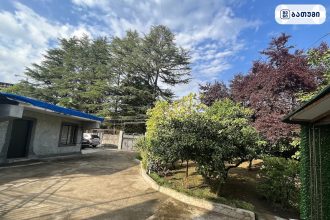 მშვენიერი ეზო ბათუმში guest house imeda ბათუმში — სასტუმრო, მისამართი, ფასები | შენი ბათუმი