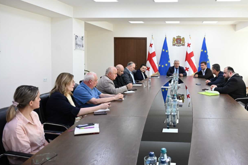 ჯანდაცვის მინისტრი მიხეილ სარჯველაძე შეხვდა „მედსქილის“ ხელმძღვანელებს
