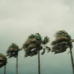 Super Typhoon Bavi makes landfall on US Pacific islands with huge wind gusts | შენი ბათუმი ალბანეთის სასამართლომ კუშნერთან დაკავშირებული კურორტის საწინააღმდეგო აქციის მონაწილეები გაათავისუფლა | შენი ბათუმი