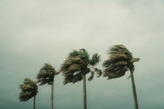 Super Typhoon Bavi makes landfall on US Pacific islands with huge wind gusts | შენი ბათუმი სუპერ ტაიფუნი ბავი აშშ-ის წყნარი ოკეანის კუნძულებზე მიწაზე დაეშვა ძლიერი ქარის დაბერვებით. | შენი ბათუმი
