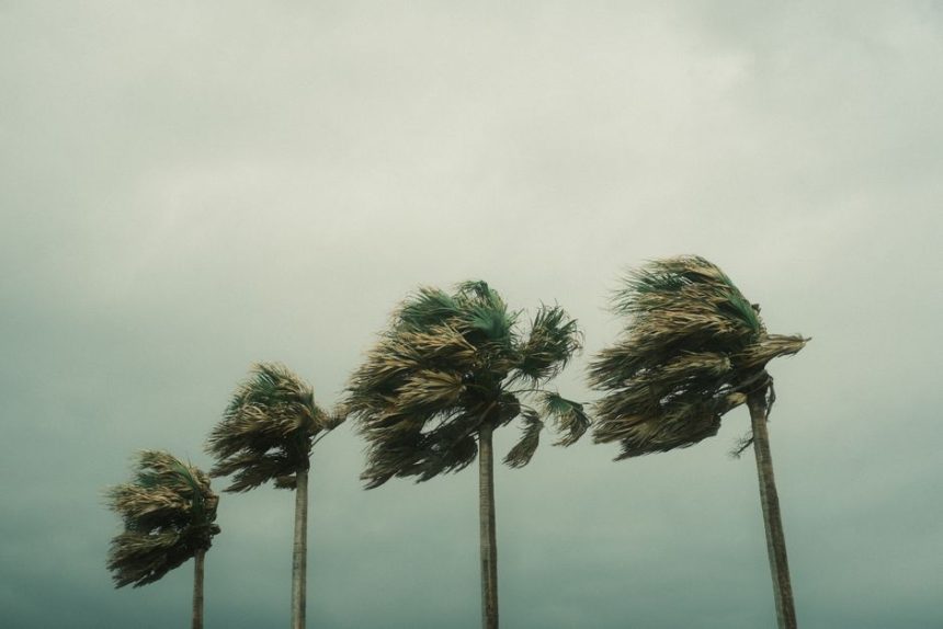 Super Typhoon Bavi makes landfall on US Pacific islands with huge wind gusts | შენი ბათუმი სუპერ ტაიფუნი ბავი აშშ-ის წყნარი ოკეანის კუნძულებზე მიწაზე დაეშვა ძლიერი ქარის დაბერვებით. | შენი ბათუმი