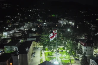 Nighttime city view with a lit park in the foreground and a Georgian flag flying on a flagpole.