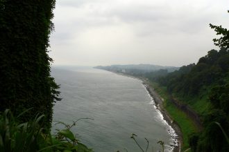 ბათუმის ბოტანიკური ბაღი — Botanic Garden of Batumi | შენი ბათუმი | შენი ბათუმი