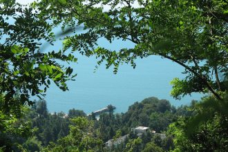 ბათუმის ბოტანიკური ბაღი — View from “mtsvane kontskhi” | შენი ბათუმი | შენი ბათუმი