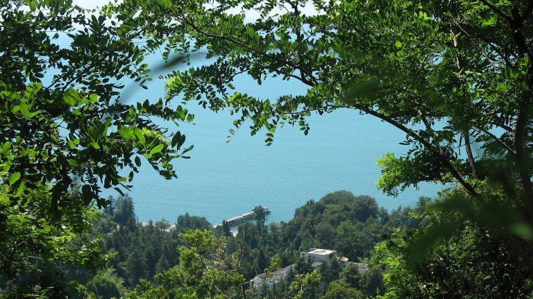 ბათუმის ბოტანიკური ბაღი — View from “mtsvane kontskhi” | შენი ბათუმი | შენი ბათუმი