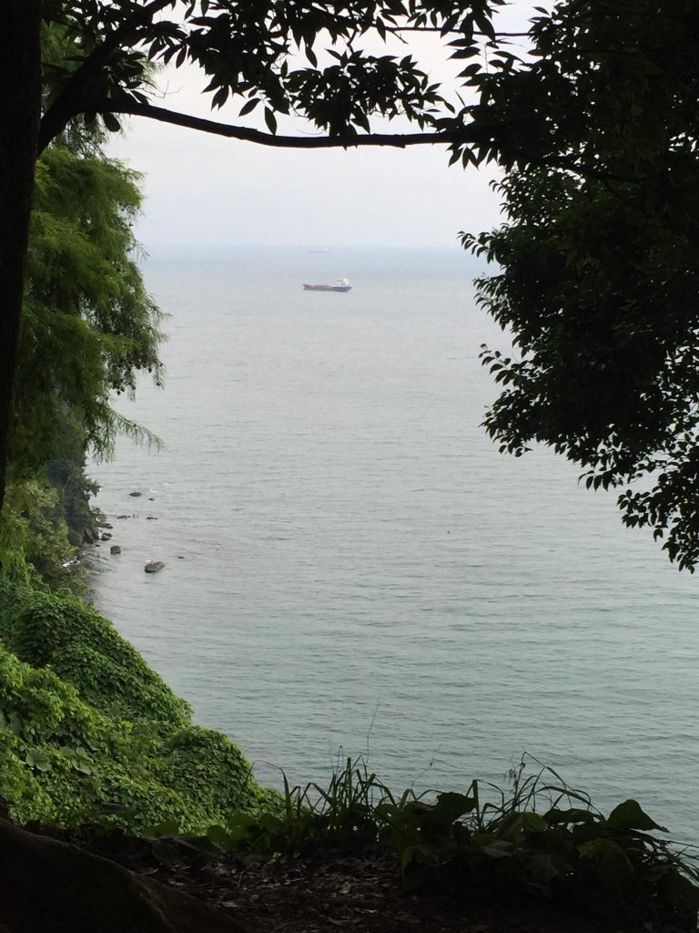 ბათუმის ბოტანიკური ბაღი — Batumi botanical garden, 2015 | შენი ბათუმი | შენი ბათუმი