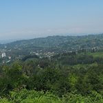 ევროპის მოედანი — Batumi · კადრი 307 | შენი ბათუმი | შენი ბათუმი