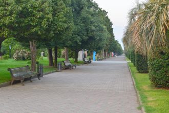 ბათუმის პარკი Blog | შენი ბათუმი | Page 50