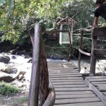ბრიჯი მდინარეზე დღის ჰოროსკოპი — 13 სექტემბერი | შენი ბათუმი