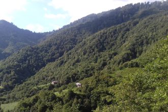 მთები და greenery, ბათუმი
