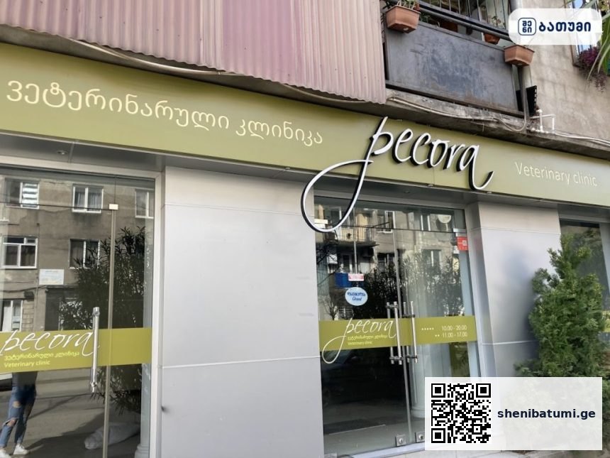 Pecora ბათუმში — ვეტკლინიკა, მისამართი, ფასები | შენი ბათუმი