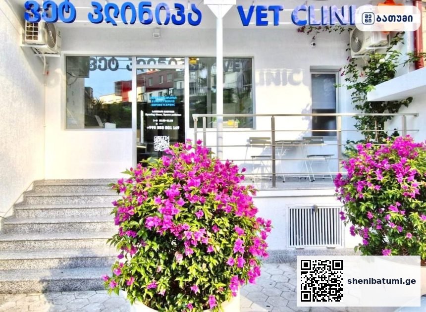 Eurovetservis ბათუმში — ვეტკლინიკა, მისამართი, ფასები | შენი ბათუმი