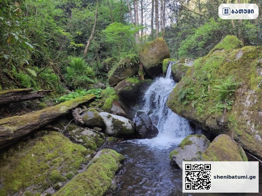 National Park Batumi ბათუმში — ღირსშესანიშნაობა, მისამართი, ფასები | შენი ბათუმი