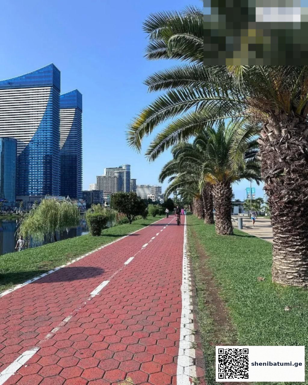 ბათუმის ბულვარი და palm-ის ხეები — ბათუმი.