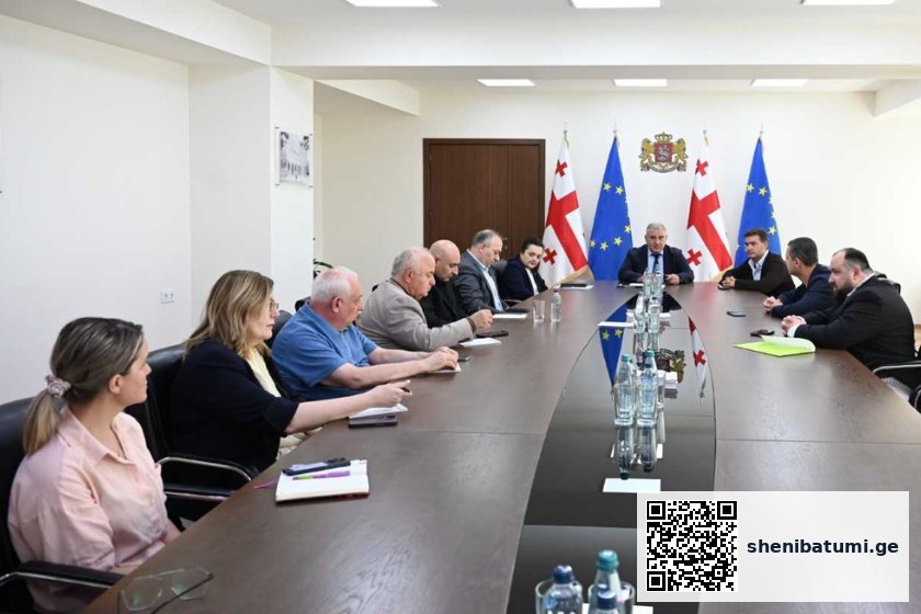 მოლაპარაკებები მთავრობის წარმომადგენლებთან ჯანდაცვის მინისტრი მიხეილ სარჯველაძე შეხვდა „მედსქილის“ ხელმძღვანელებს