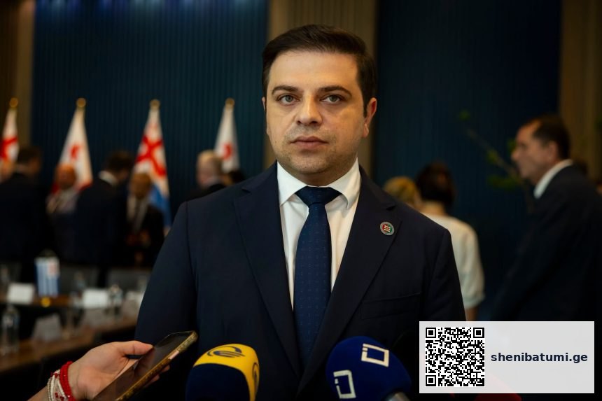 პოლიტიკური შეხვედრა ბათუმში ცოტნე ანანიძის პასუხი სააკაშვილის განცხადებაზე რუსეთთან ეკონომიურ ურთიერთობაზე