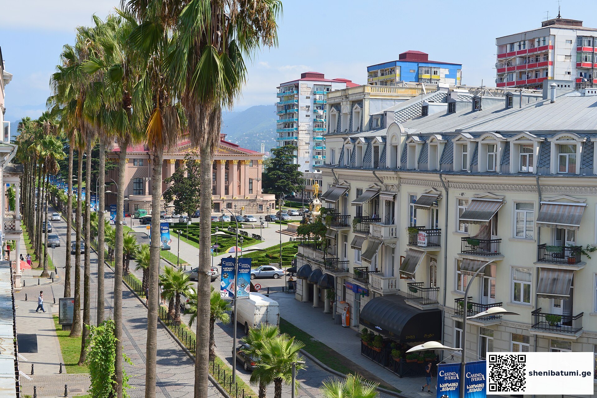 ბათუმის ქუჩები და შენობები, პალმები