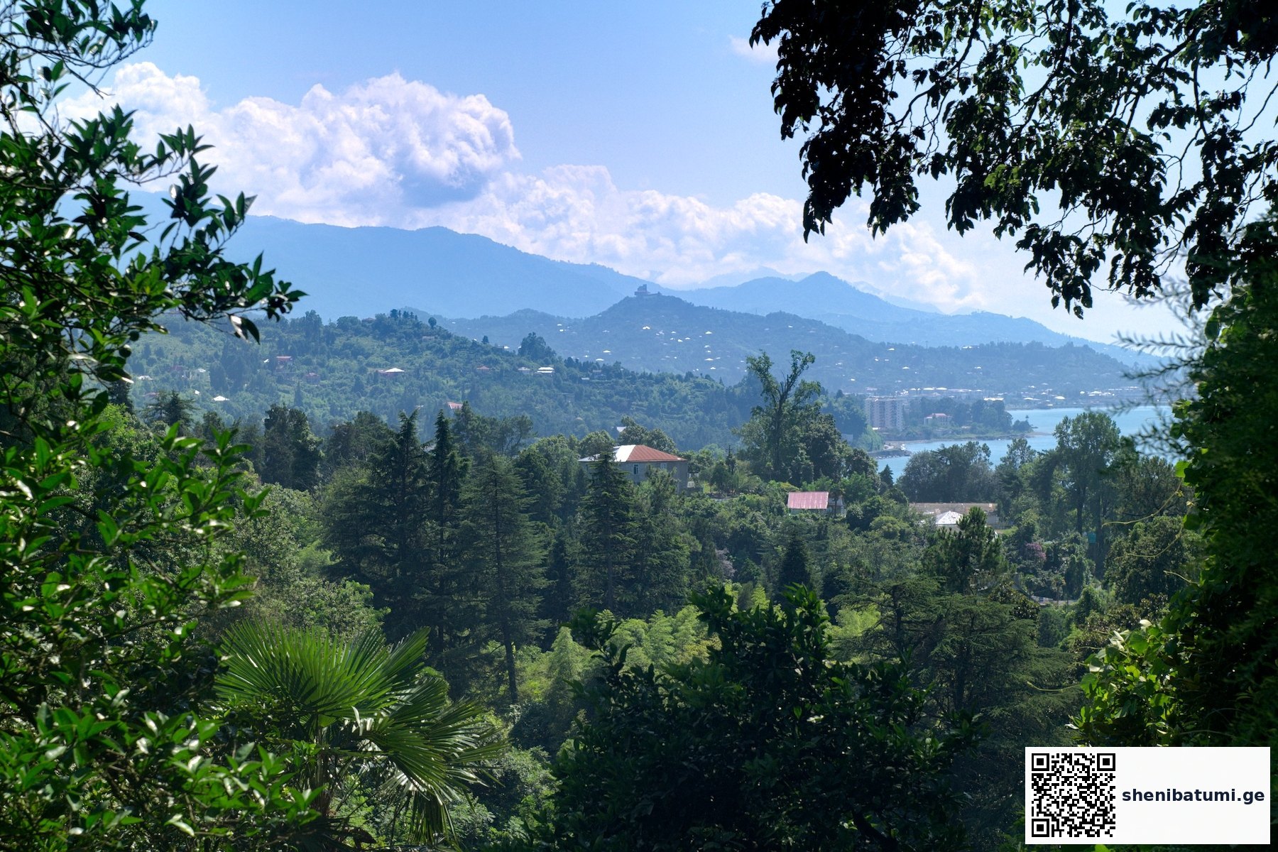 მთები და greenery ბათუმში