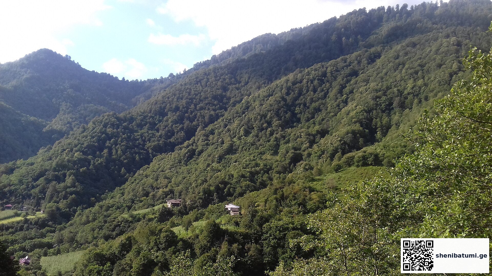 მთები და greenery, ბათუმი