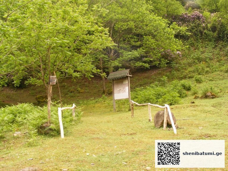 მტირალას ეროვნული პარკი — Mtirala National Park Main Ro | შენი ბათუმი